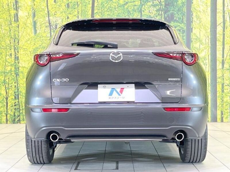 CX-30