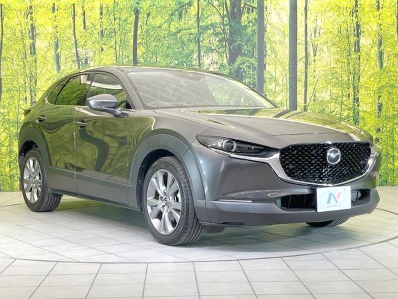CX-30