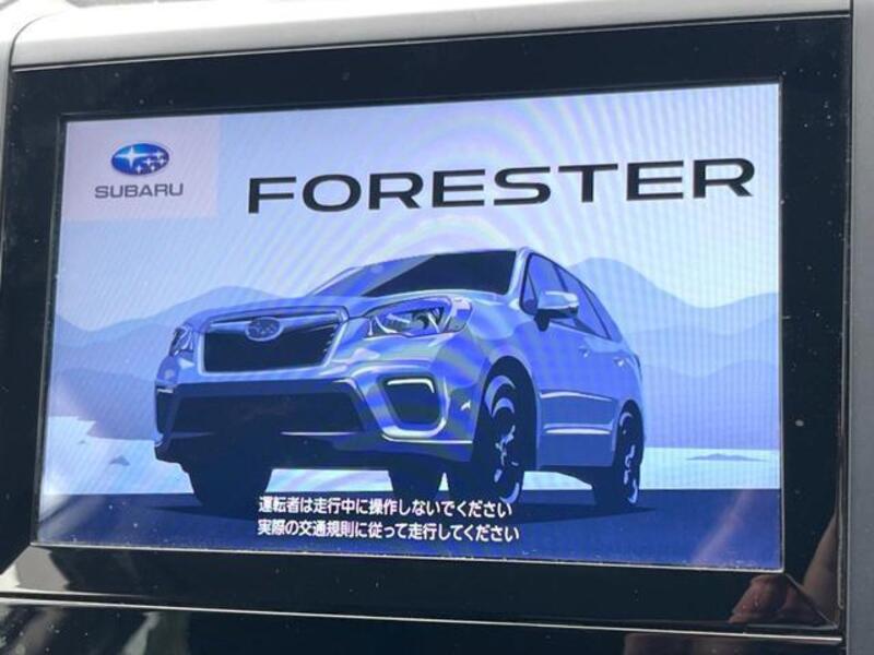 FORESTER