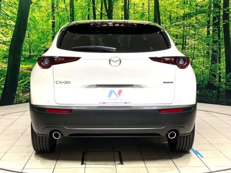CX-30