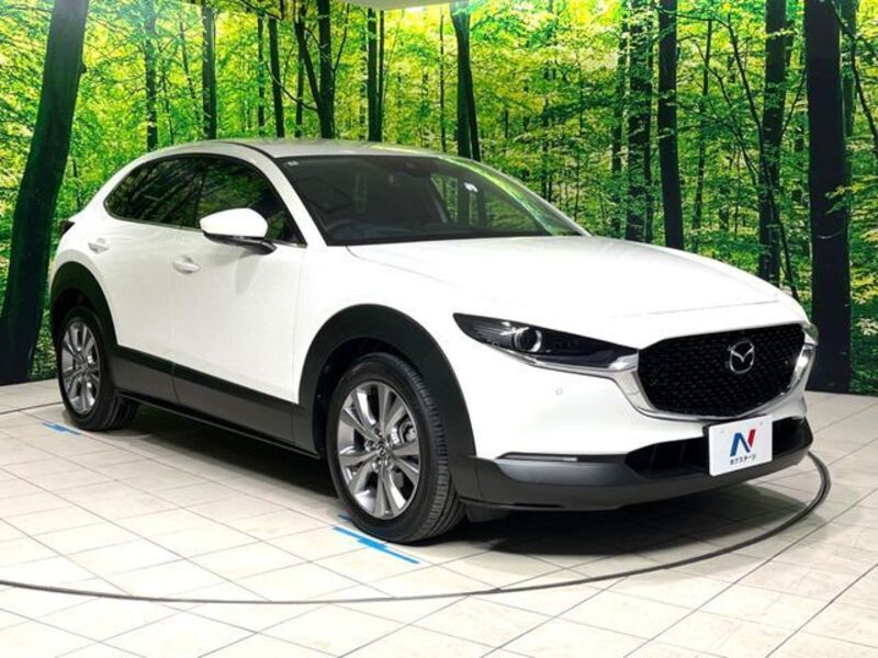 CX-30