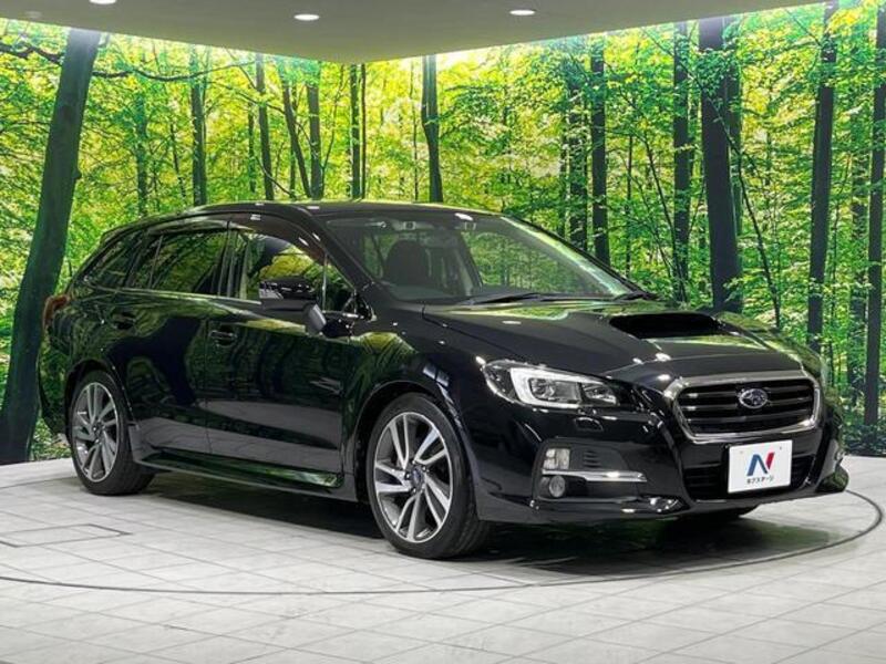 LEVORG