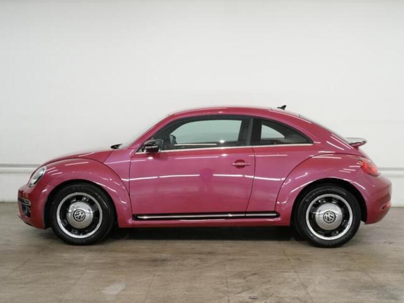THE BEETLE