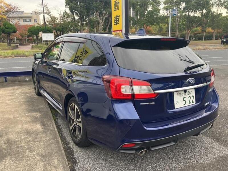 LEVORG