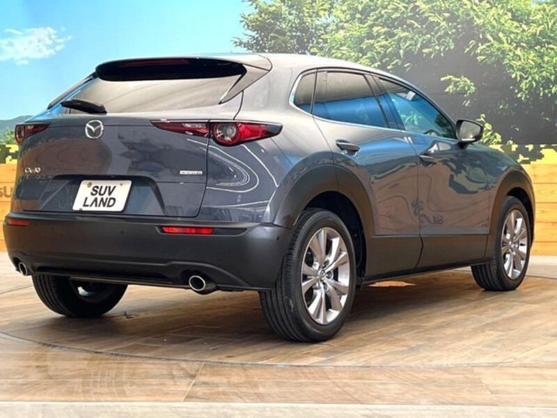CX-30