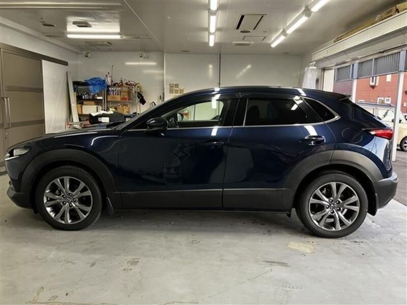 CX-30