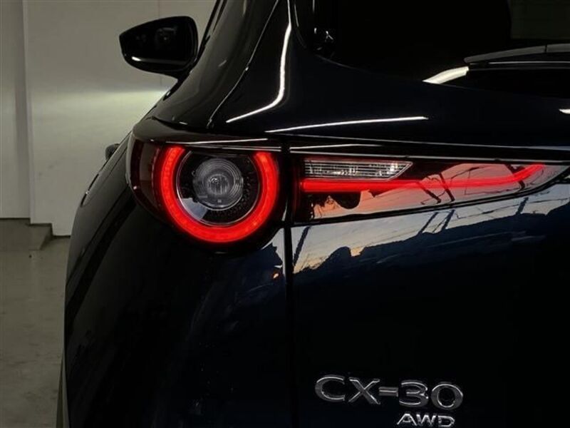 CX-30
