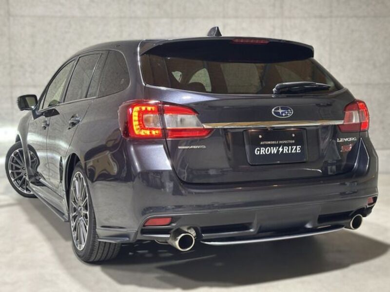 LEVORG