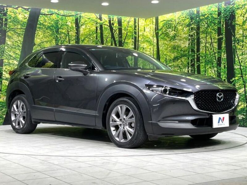 CX-30