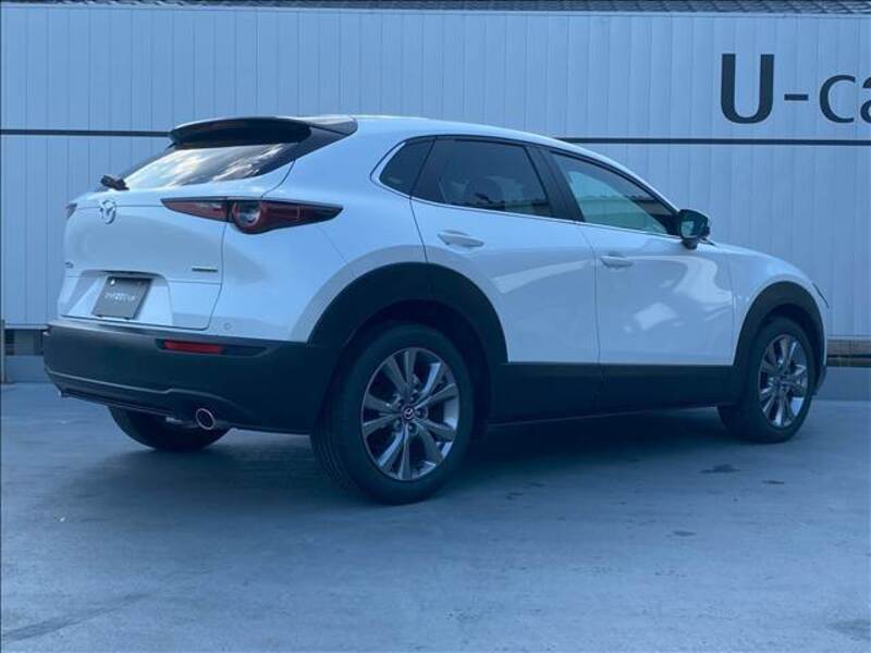 CX-30