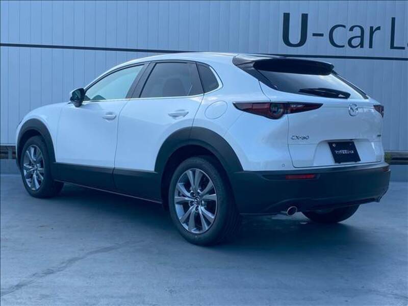 CX-30