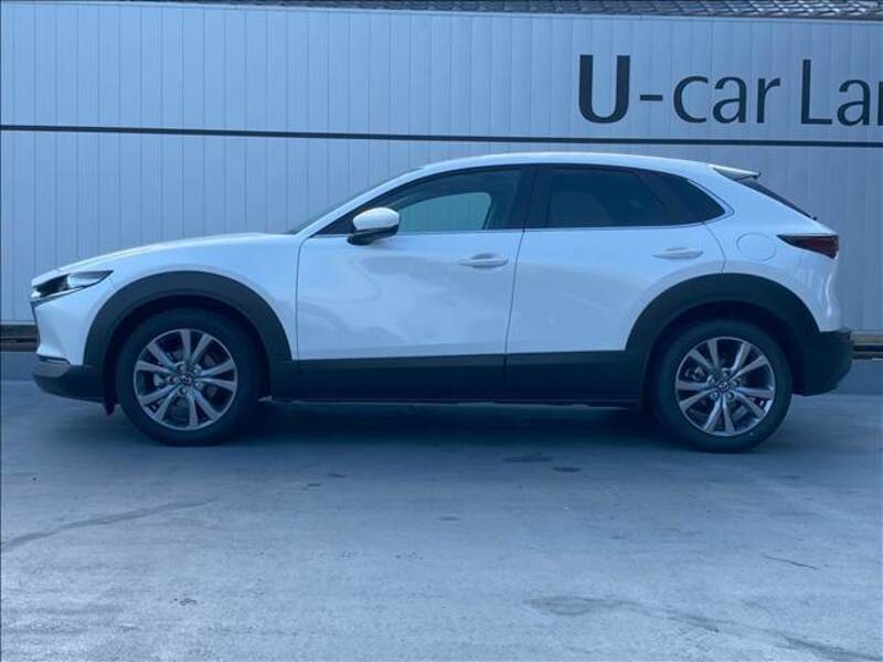 CX-30