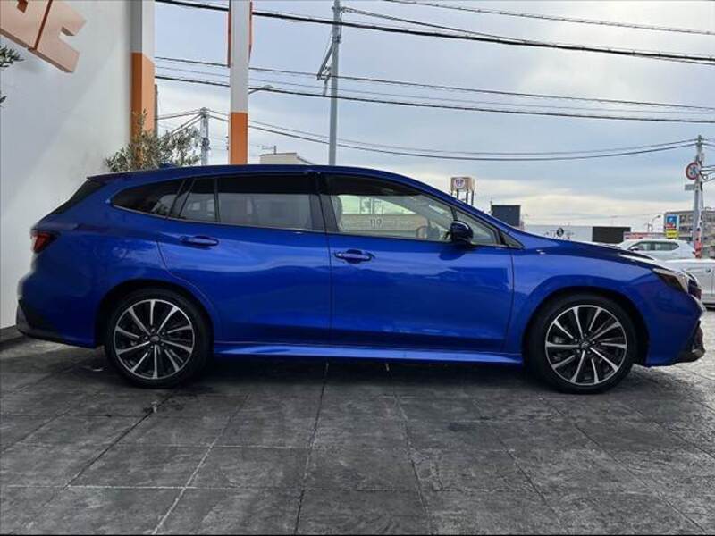 LEVORG