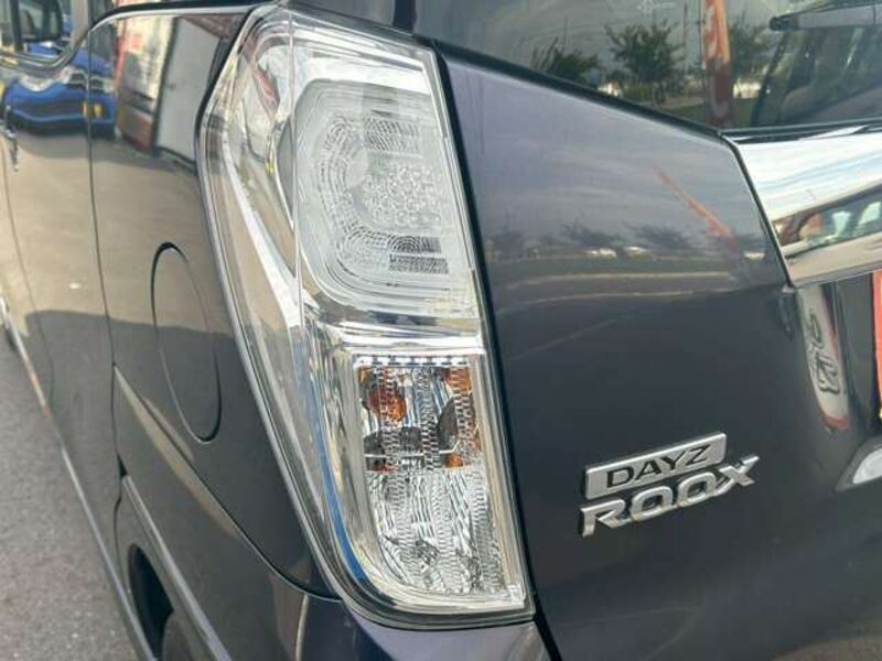 DAYZ ROOX