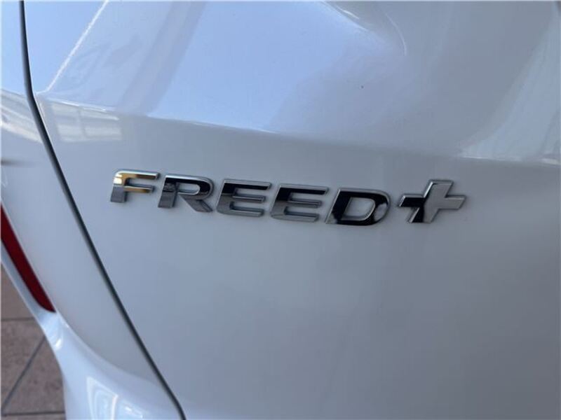 FREED+