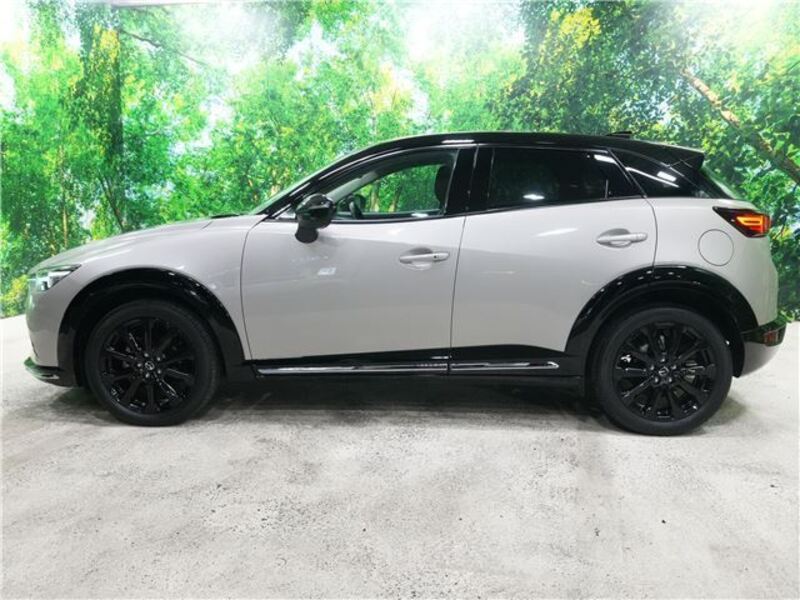 CX-3