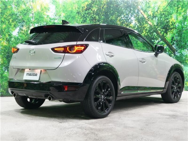 CX-3