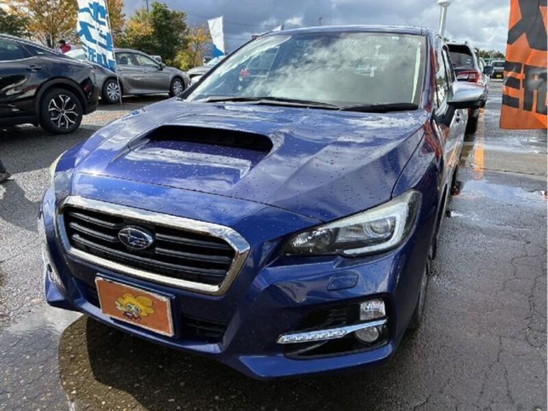 LEVORG-0