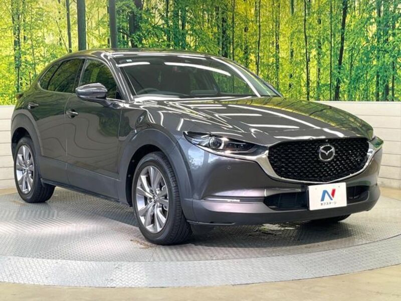 CX-30