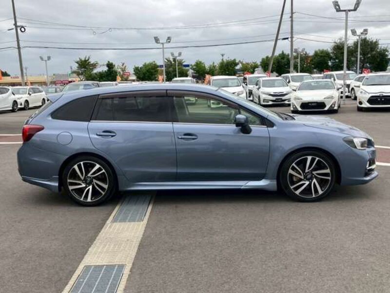 LEVORG