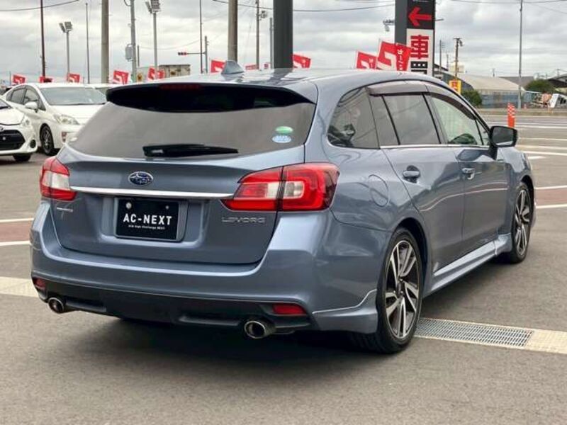LEVORG