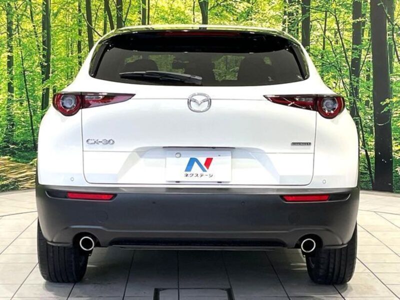 CX-30