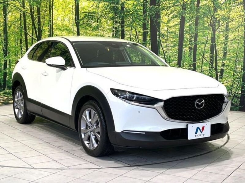 CX-30