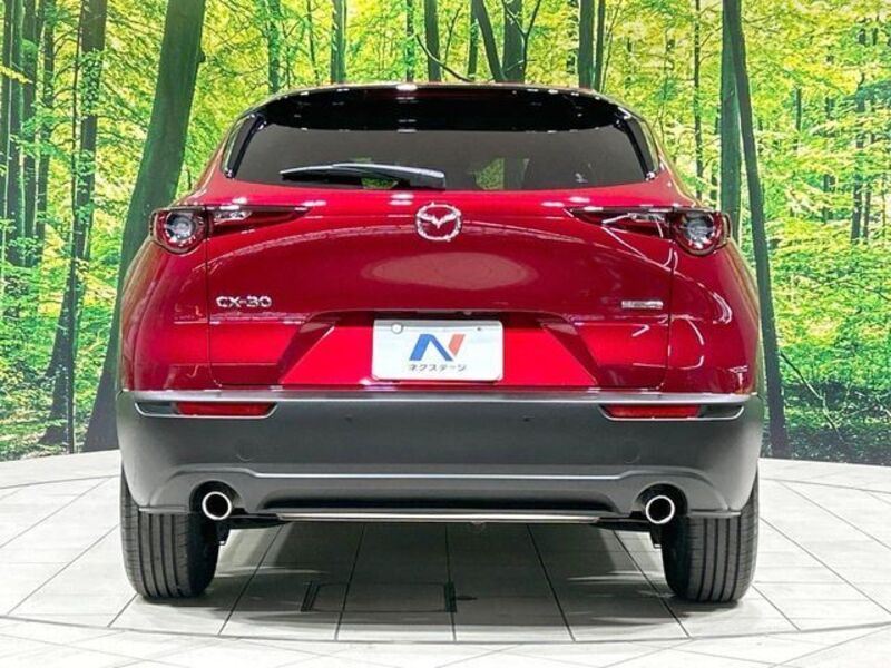 CX-30