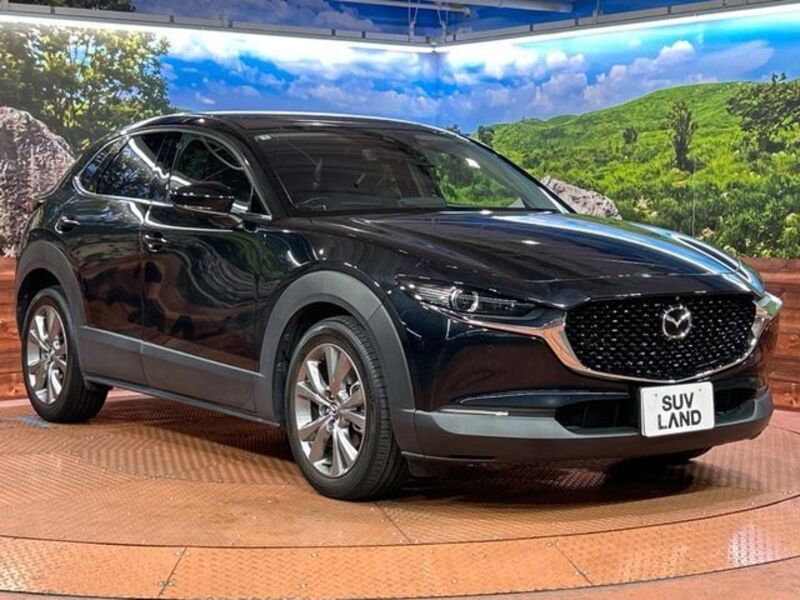 CX-30