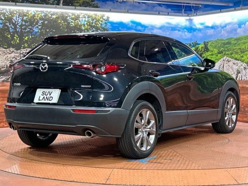 CX-30