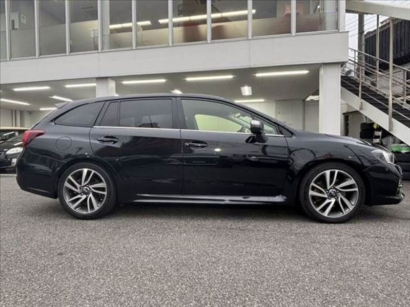 LEVORG