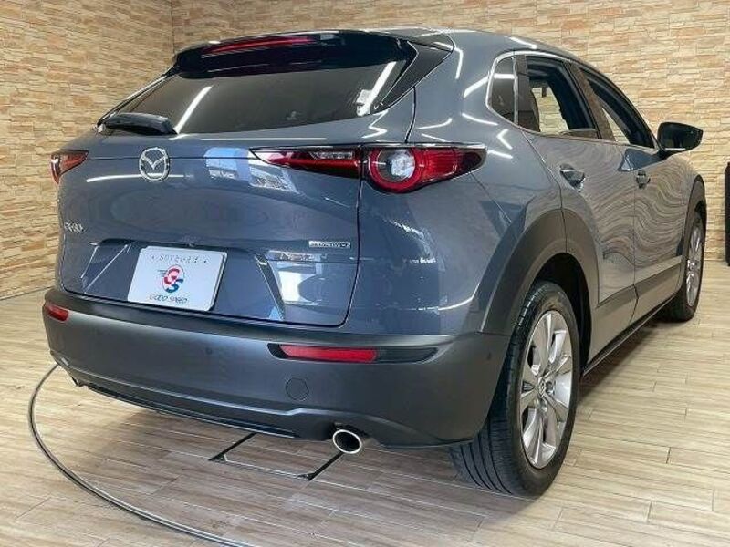 CX-30