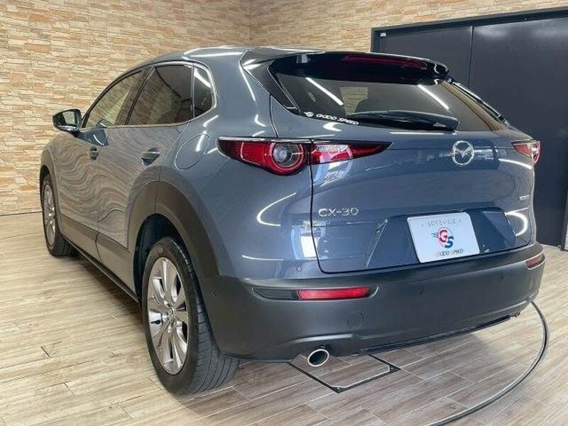 CX-30