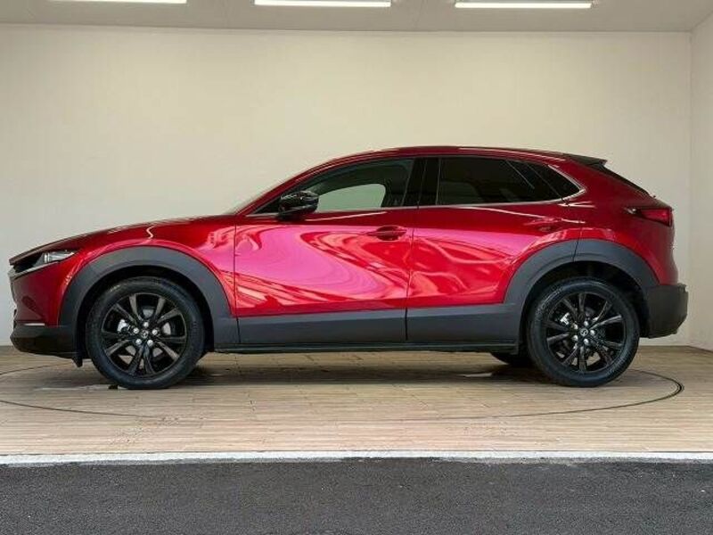 CX-30