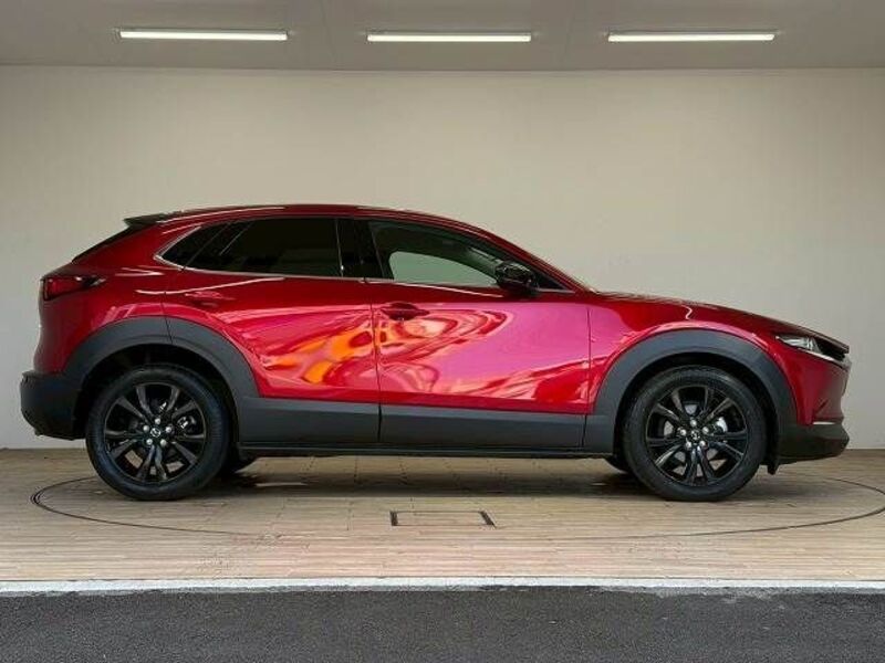 CX-30