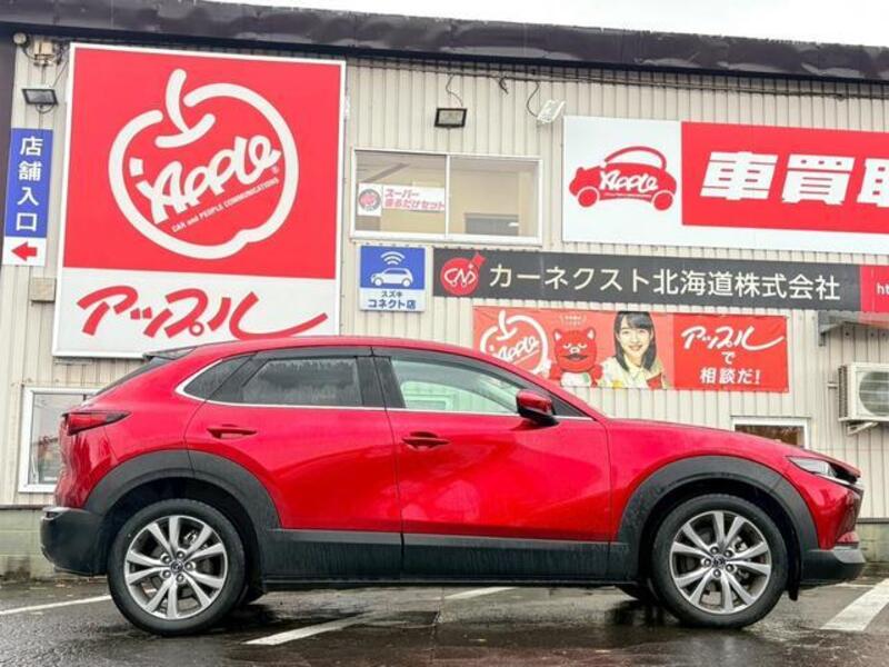 CX-30
