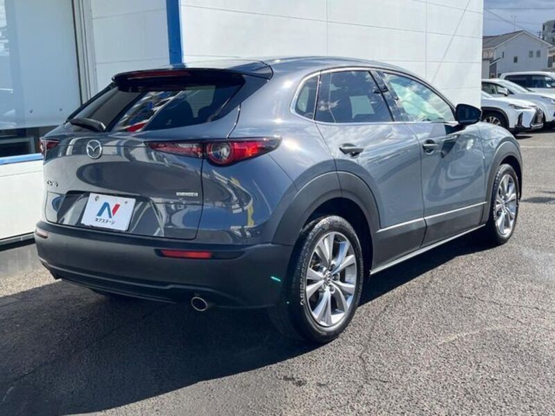 CX-30