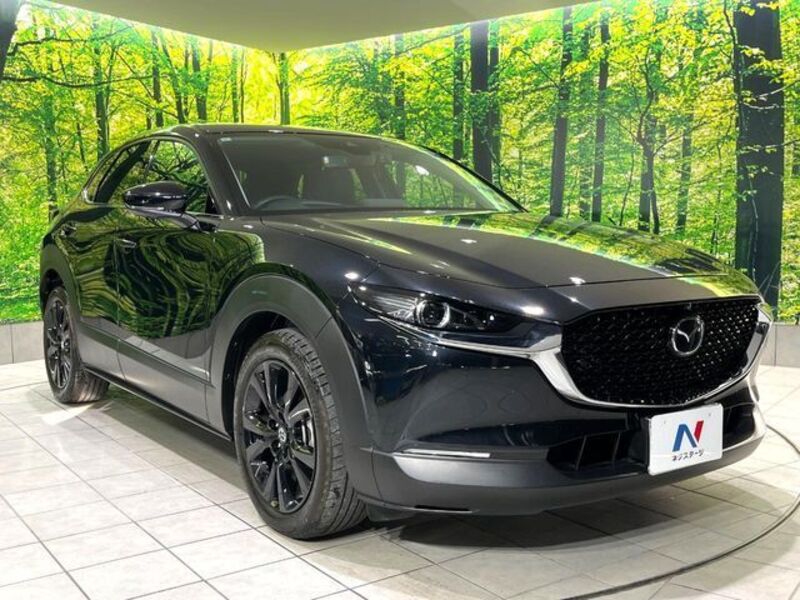 CX-30