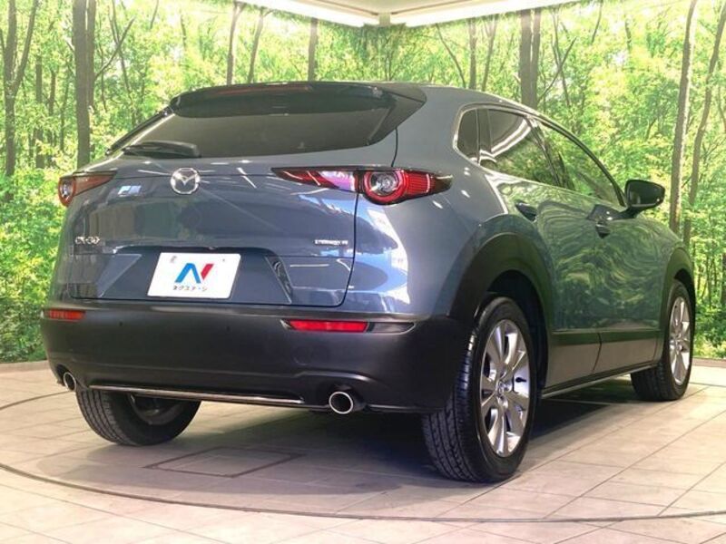 CX-30
