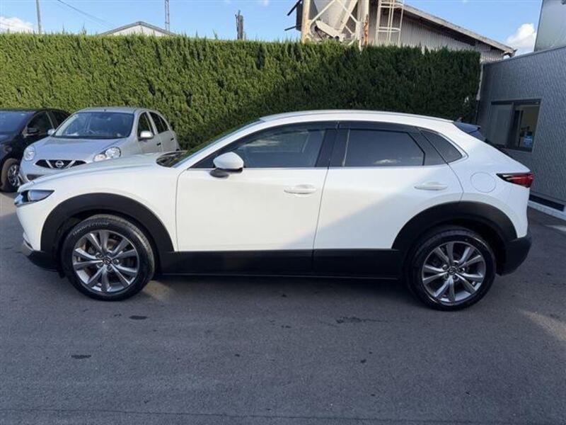 CX-30