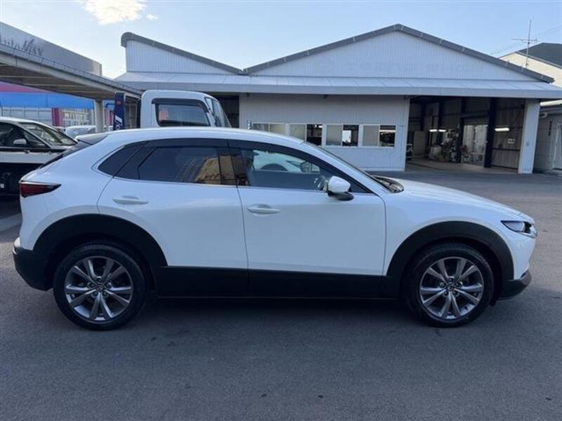 CX-30