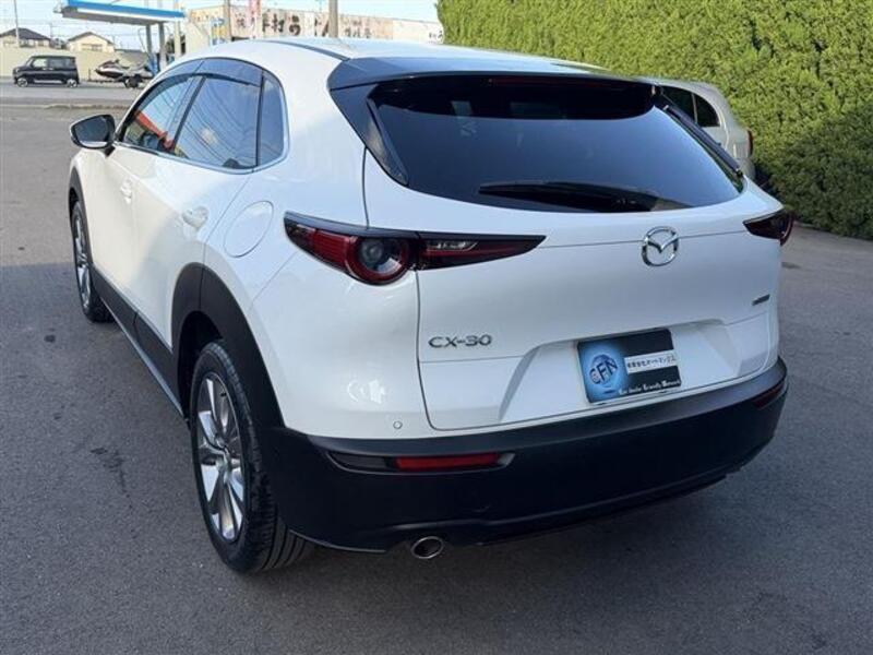 CX-30