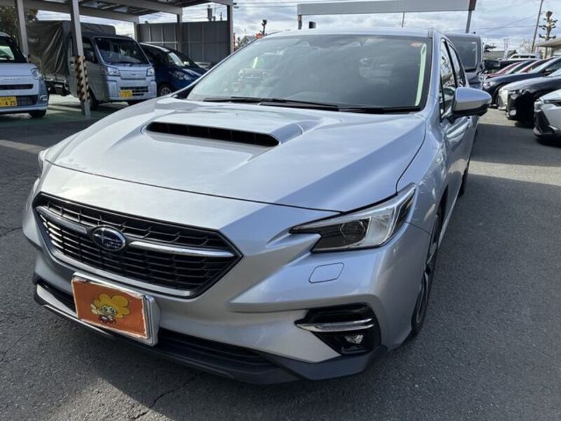 LEVORG-0