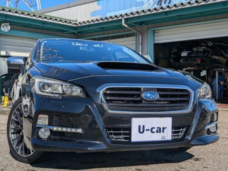 LEVORG
