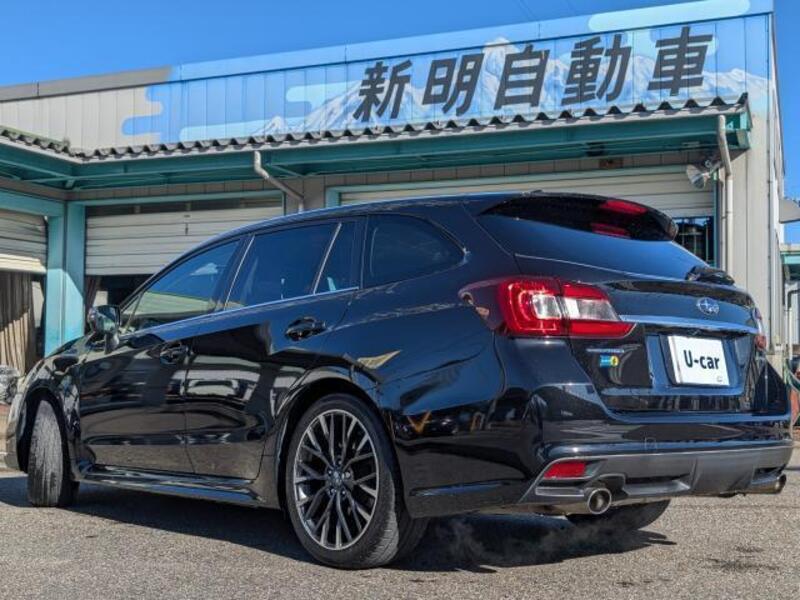 LEVORG