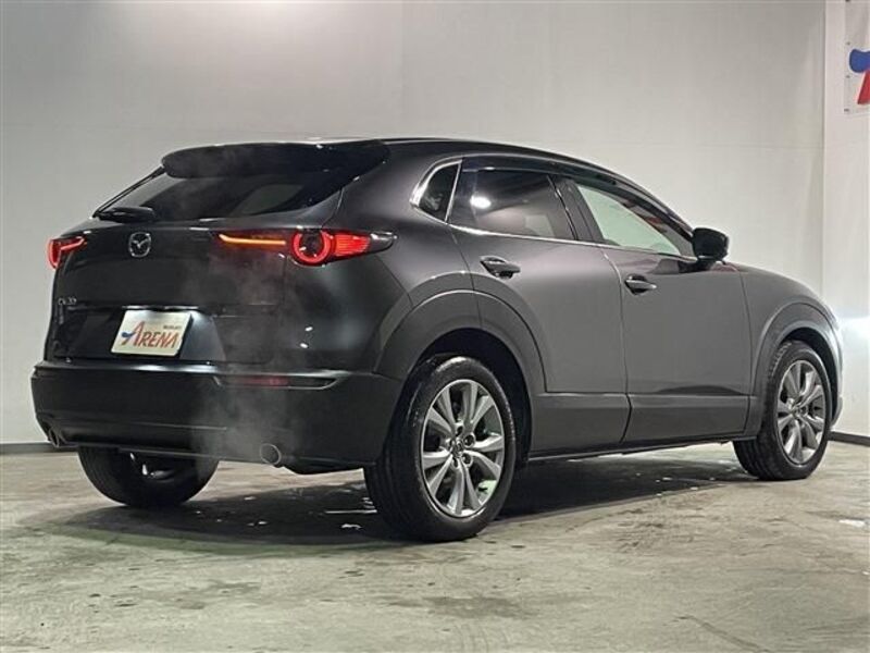 CX-30