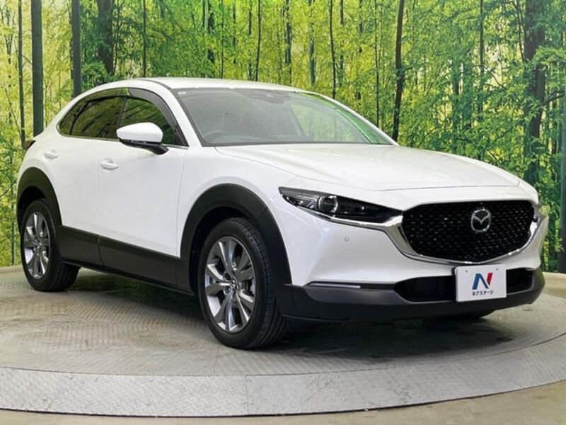 CX-30