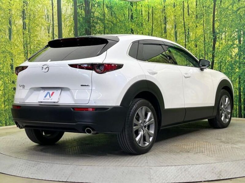 CX-30