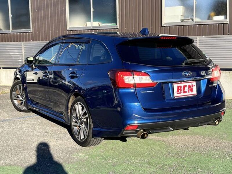 LEVORG