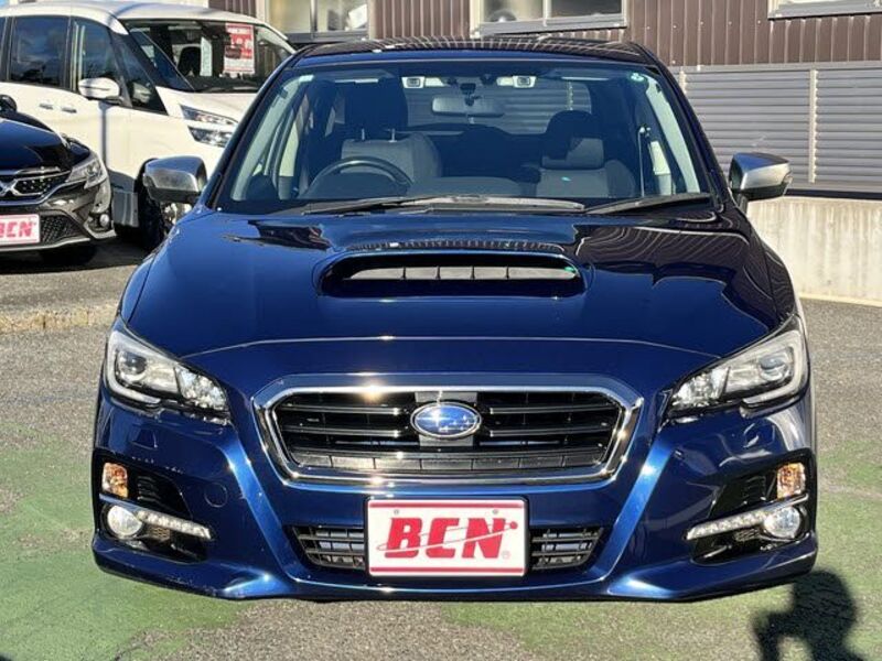 LEVORG